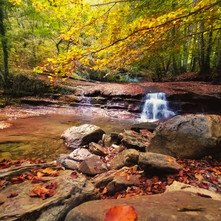 L’ANELLO DELL’ACQUACHETA