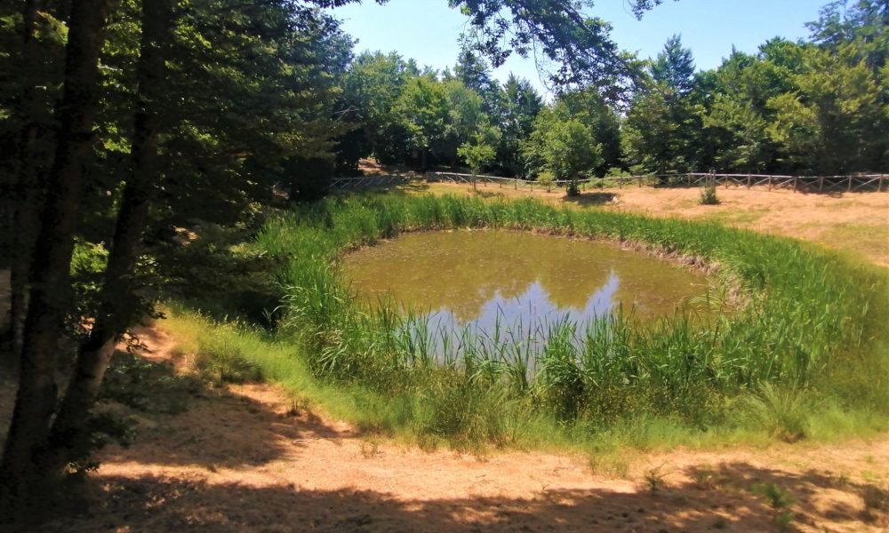 Lago degli Idoli