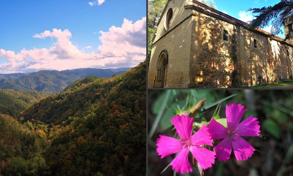 Le Colline di Galeata: Storia, Spiritualità e Colori