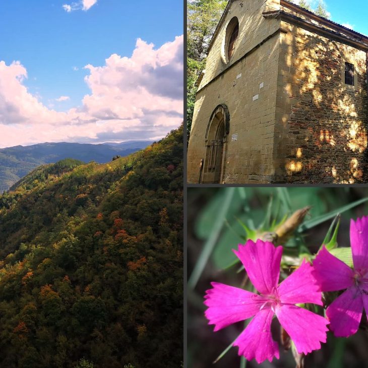 Le Colline di Galeata: Storia, Spiritualità e Colori