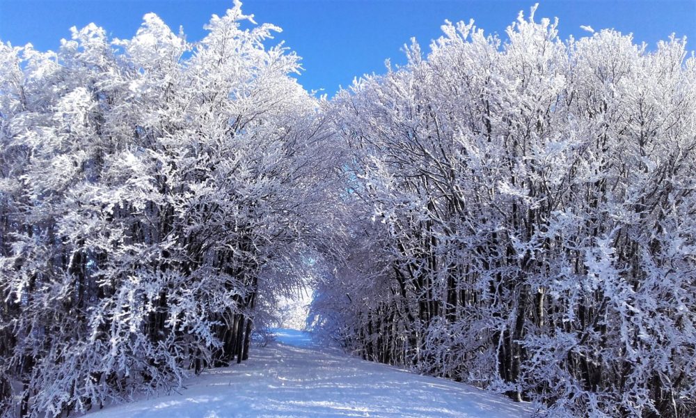 DOMENICA MATTINA IN CIASPOLE-Domenica 29 Gennaio