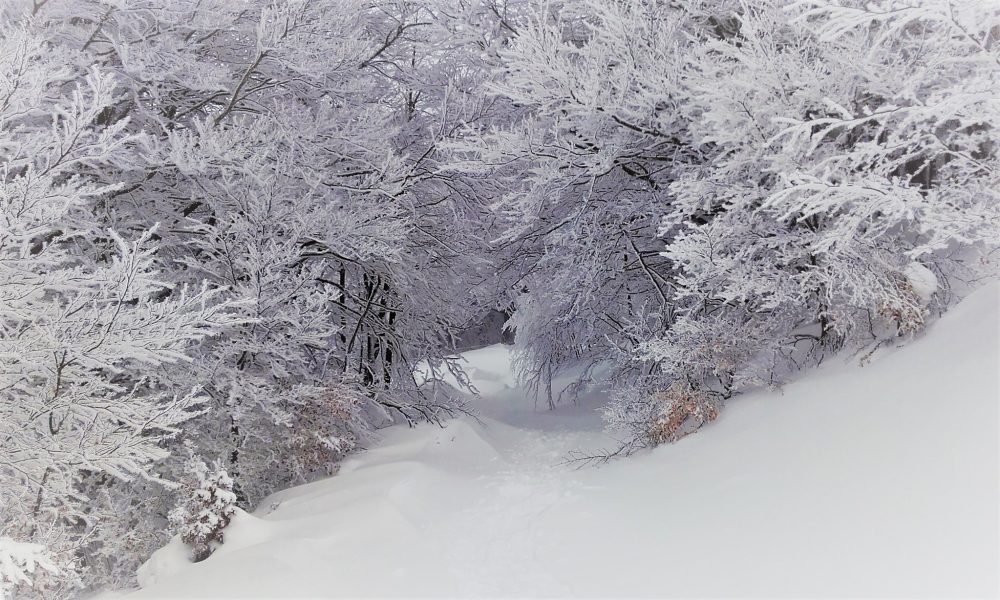 DOMENICA MATTINA IN CIASPOLE-Domenica 5 febbraio