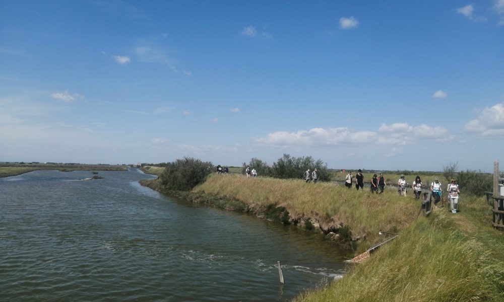 Salina di Comacchio