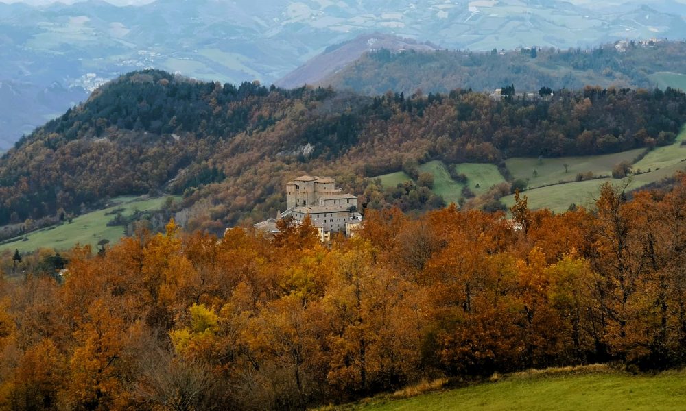 Tra i Boschi del Borgo Natalizio