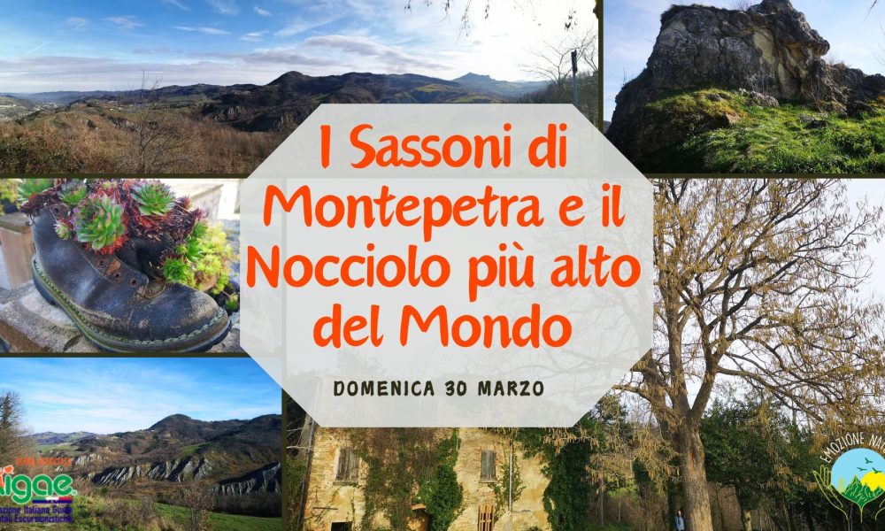 I Sassoni di Montepetra e il Nocciolo più alto del Mondo