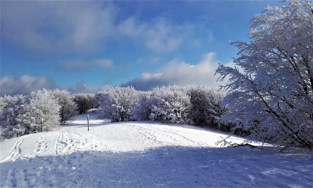 Domenica Mattina in Ciaspole